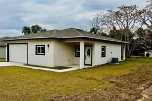 832 E Desoto St, Clermont, FL 34711 - Photo 3
