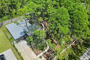 168 Long Leaf Cir, Santa Rosa Beach, FL 32459 - Photo 53