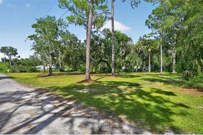Swamp Lane, Geneva, FL 32732 - Photo 5
