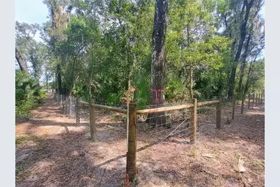 N Spring Garden Avenue, Deland, FL 32720 - Photo 51