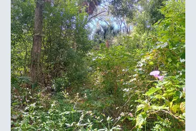 N Spring Garden Avenue, Deland, FL 32720 - Photo 27