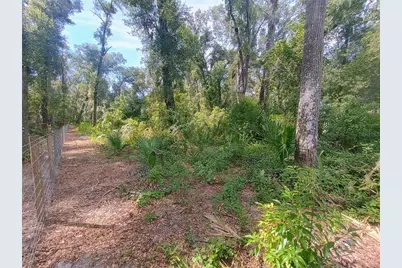 N Spring Garden Avenue, Deland, FL 32720 - Photo 47
