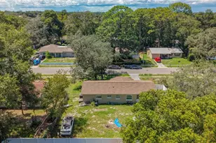 3667 Trianon Dr, Orlando, FL 32818 - Photo 37