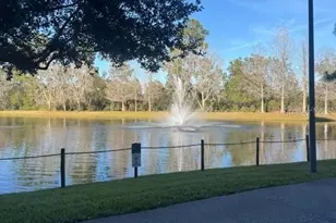14501 Grove Resort Ave, Winter Garden, FL 34787 - Photo 19