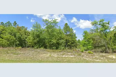 6603 N Bedstrow Boulevard, Citrus Springs, FL 34434 - Photo 1