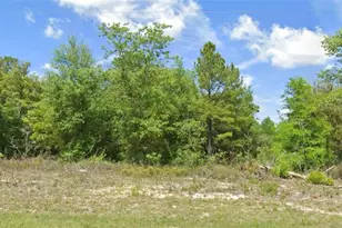 6603 N Bedstrow Blvd, Citrus Springs, FL 34434 - Photo 1