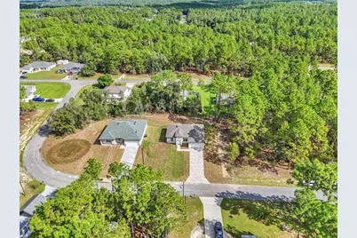 1217 W Fan Drive, Citrus Springs, FL 34434 - Photo 11