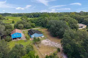 31128 Lochmore Cir, Mount Plymouth, FL 32776 - Photo 45
