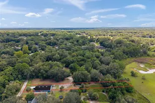 31128 Lochmore Cir, Mount Plymouth, FL 32776 - Photo 41