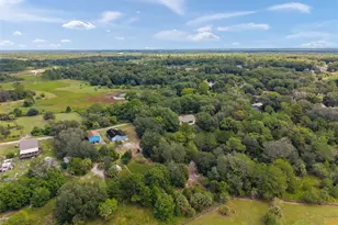 31128 Lochmore Cir, Mount Plymouth, FL 32776 - Photo 43