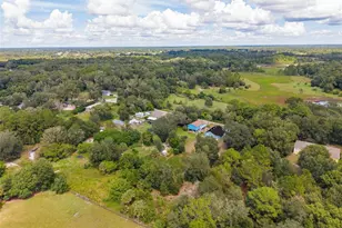 31128 Lochmore Cir, Mount Plymouth, FL 32776 - Photo 37