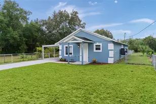 31128 Lochmore Cir, Mount Plymouth, FL 32776 - Photo 3
