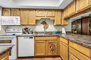 3811 N Oak Dr, Tampa, FL 33611 - Photo 7