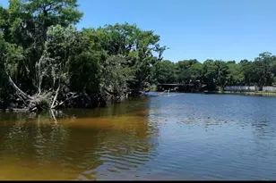 1041 Lemon Bluff Rd, Osteen, FL 32764 - Photo 1
