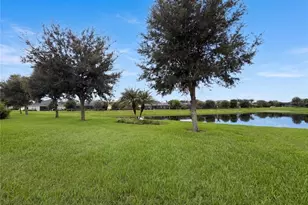 1121 Thornbury Dr, Parrish, FL 34219 - Photo 21
