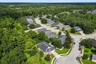 2787 Blue Springs Cove, Oviedo, FL 32766 - Photo 47