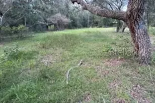 13331 SE 30th St, Morriston, FL 32668 - Photo 9