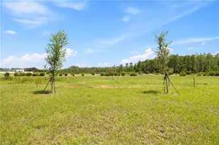 3648 Rolling Ridge Bend N, Davenport, FL 33837 - Photo 41