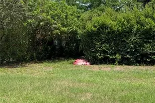 9 W King St, Orlando, FL 32804 - Photo 7