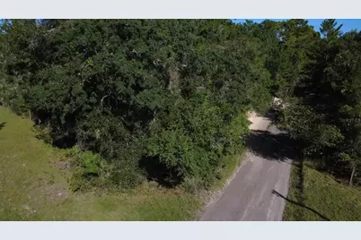 Old Enterprise Road, Lake Helen, FL 32744 - Photo 5