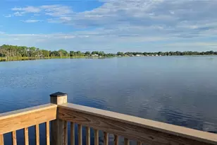 3910 Bigarade Ln, Lake Alfred, FL 33850 - Photo 31