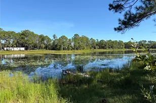 42019 St Claire Lake Dr, Deland, FL 32720 - Photo 31