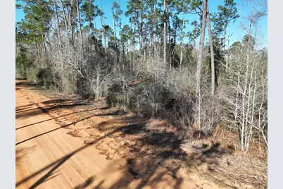 Bienville Court, Alford, FL 32420 - Photo 15