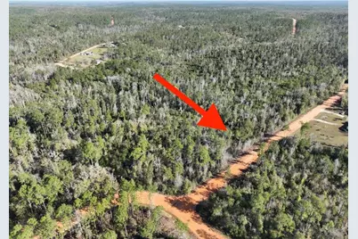 Bienville Court, Alford, FL 32420 - Photo 11