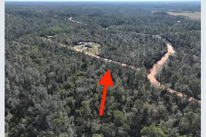 Bienville Court, Alford, FL 32420 - Photo 3