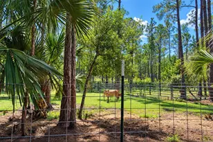 420 Smith Rd, Osteen, FL 32764 - Photo 41