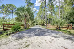420 Smith Rd, Osteen, FL 32764 - Photo 73