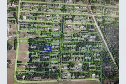 18357 20th Avenue, Orlando, FL 32833 - Photo 5