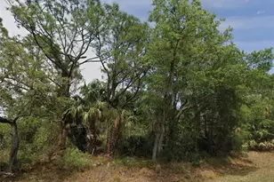 23280 Wicker Ave, Punta Gorda, FL 33980 - Photo 1