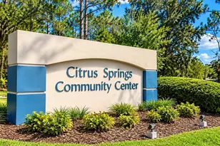 3839 W Midway Dr, Citrus Springs, FL 34433 - Photo 39