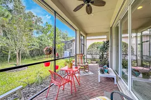 16144 Coquina Bay Ln, Wimauma, FL 33598 - Photo 49