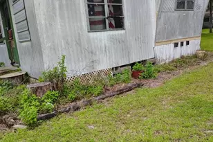 15243 NE 217th Ave, Fort Mc Coy, FL 32134 - Photo 5