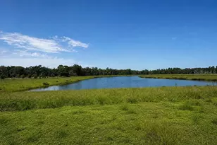 2960 Katie Ann Way, Deland, FL 32720 - Photo 43