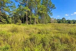 SW 26th Ln, Ocala, FL 34481 - Photo 1