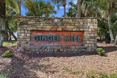 2521 Ginger Mill Boulevard, Orlando, FL 32837 - Photo 31