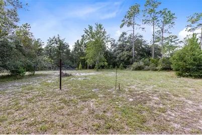 377 Riverwoods Trail, Chuluota, FL 32766 - Photo 27