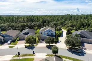 10192 Lovegrass Ln, Orlando, FL 32832 - Photo 83