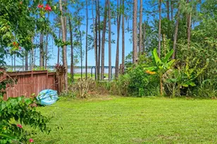 14209 Nell Dr, Orlando, FL 32832 - Photo 33