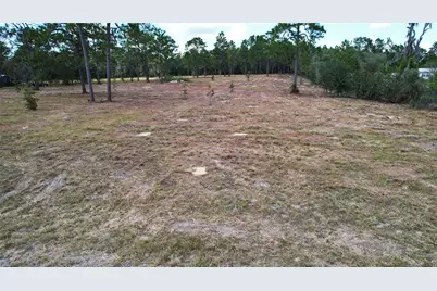 53rd Lane, Morriston, FL 32668 - Photo 3