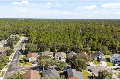 14819 Affirmed Court, Orlando, FL 32826 - Photo 35