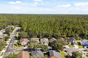 14819 Affirmed Ct, Orlando, FL 32826 - Photo 35