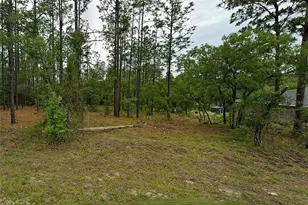 NW Redwood Dr, Dunnellon, FL 34431 - Photo 1