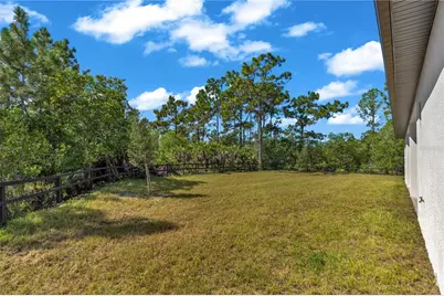 19406 Palmland Street, Orlando, FL 32833 - Photo 37