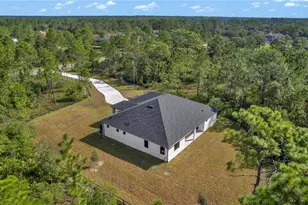 19406 Palmland St, Orlando, FL 32833 - Photo 53