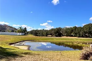 [Address not provided], Orlando, FL 32832 - Photo 13