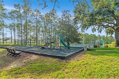 257 Herring Street, Davenport, FL 33897 - Photo 29